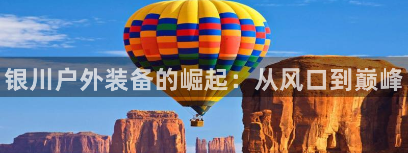 新宝gg干嘛