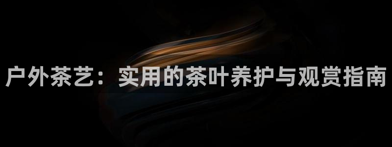 109新宝gg