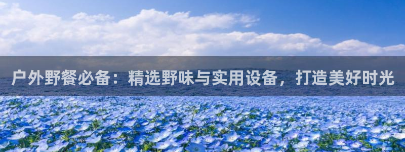 新宝gg如何代理