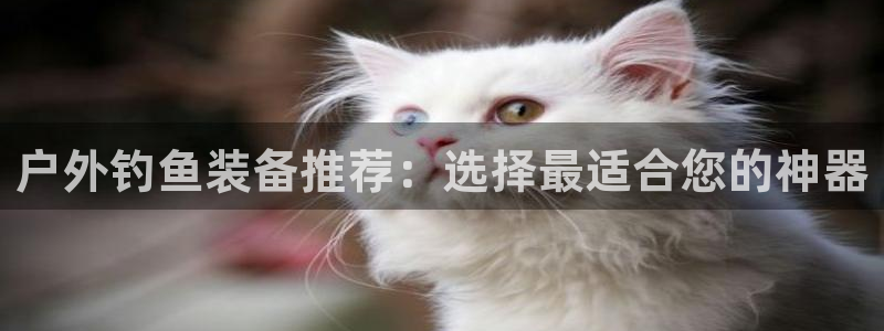 网站是新宝gg